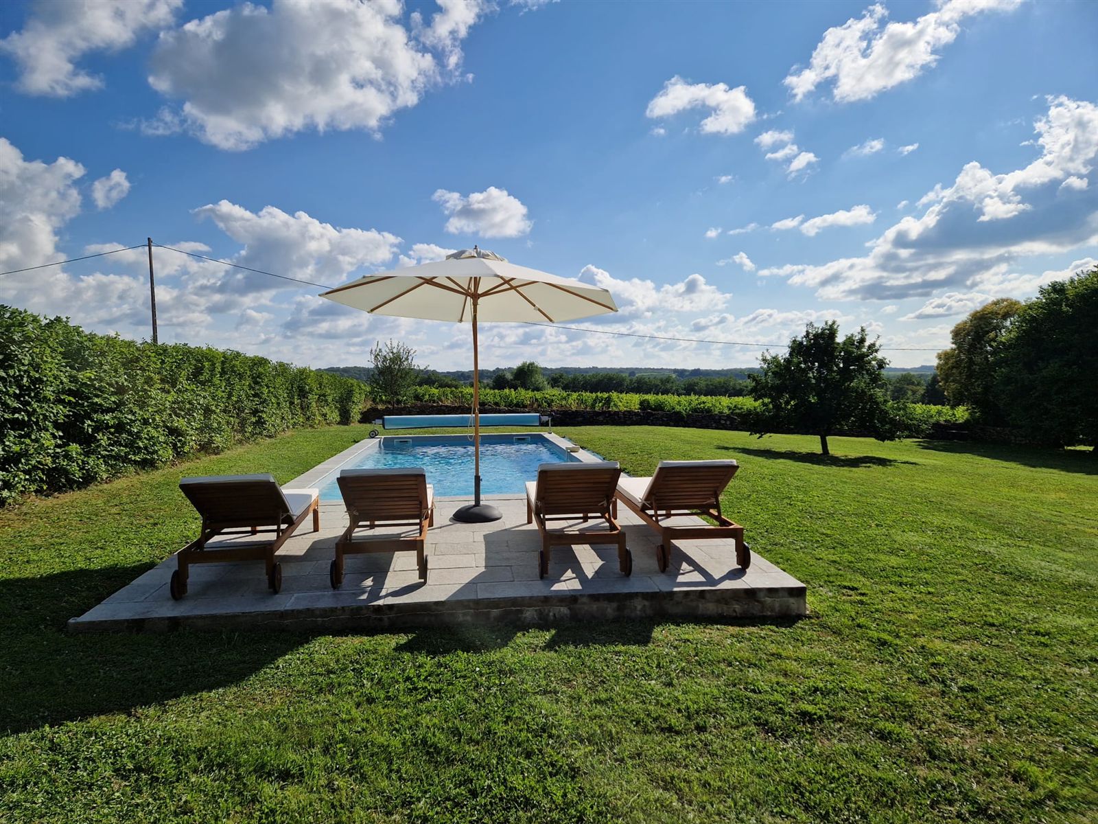 The swimming pool, terrace and lawns