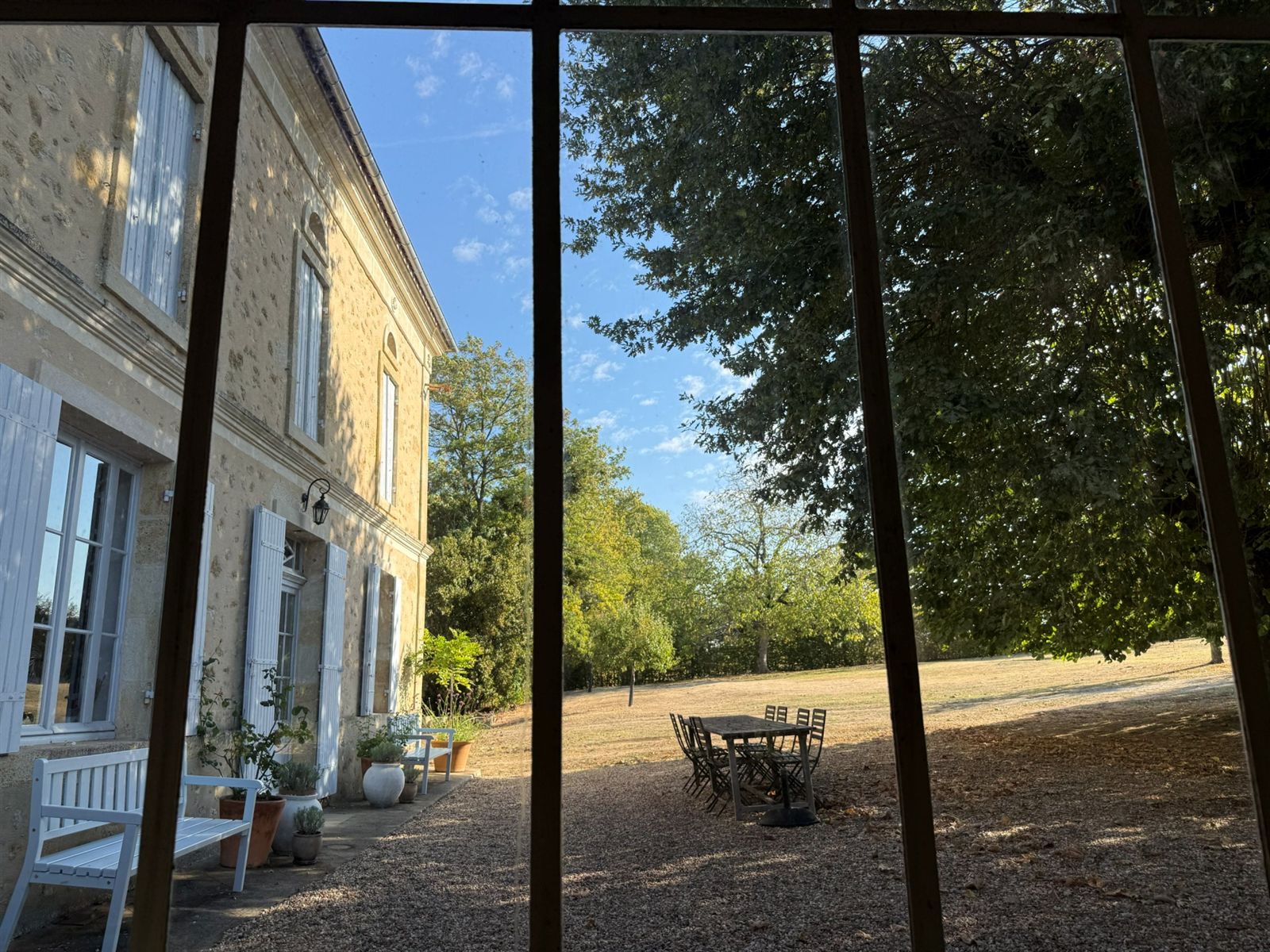 Garden view through tall glazing